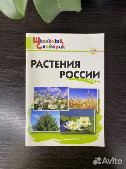 Школьные словарики