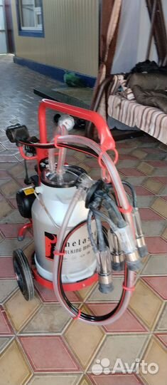 Доильный аппарат для коров