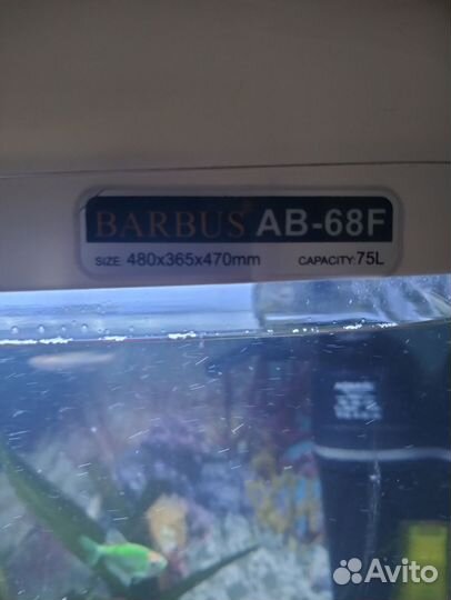 Аквариум с рыбками