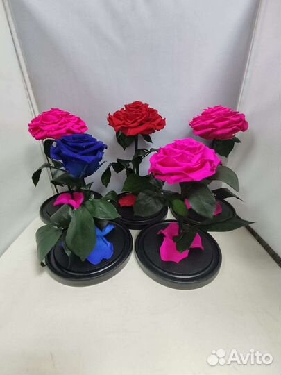 Роза в колбе оптом и в розницу