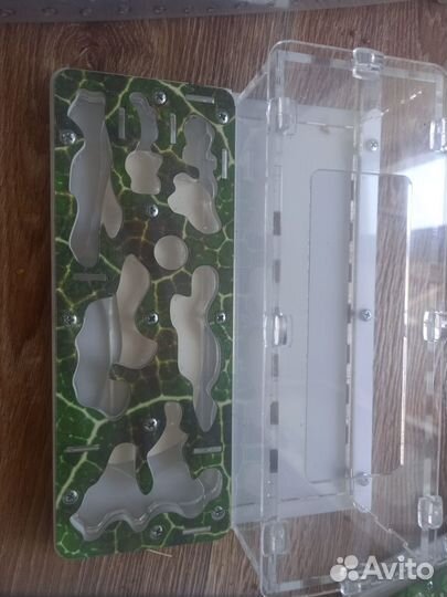 Муравьиные фермы или формикарий