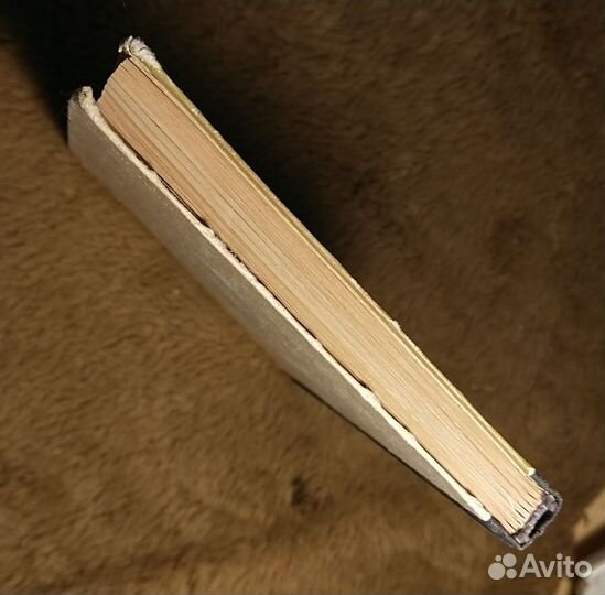 Полевой. Повесть о настоящем человеке