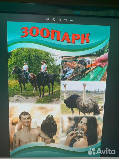 Джиппинг в горы/Тенгинские водопады/экскурсия/тур