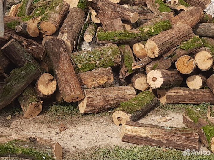 Дрова дубовые