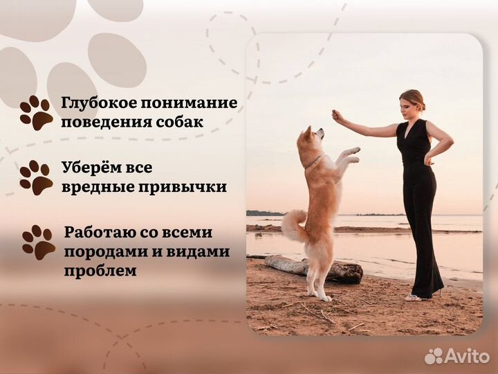 Курсы дрессировки собак / Кинолог