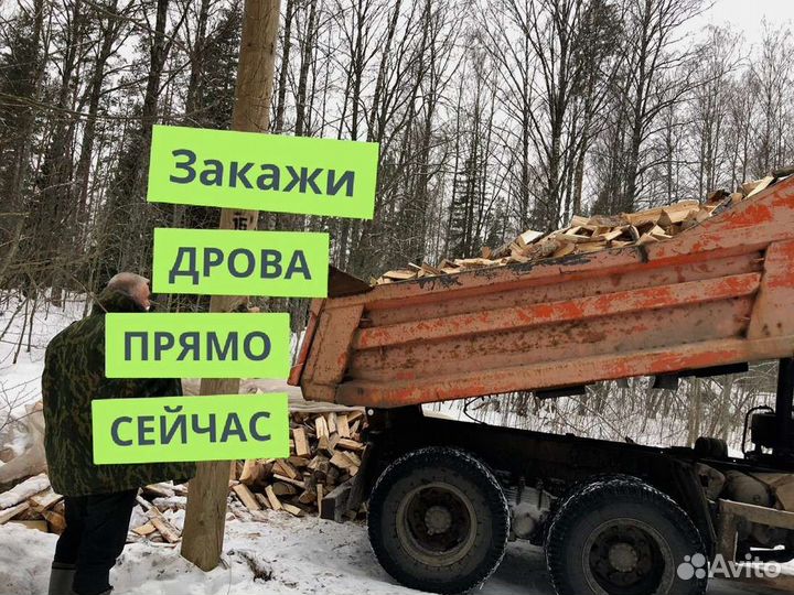 Дрова