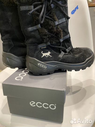 Зимние ecco 36