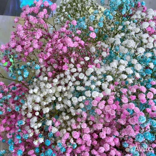 Гипсофила Доставка цветов букеты