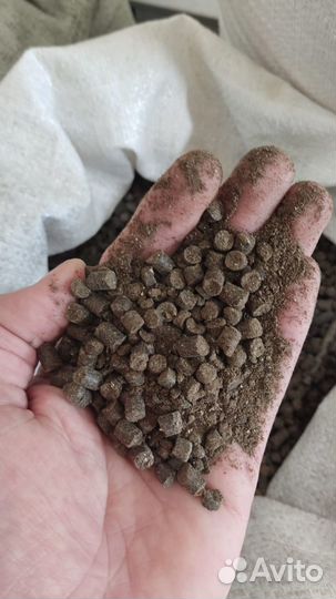 Рапсовый шрот