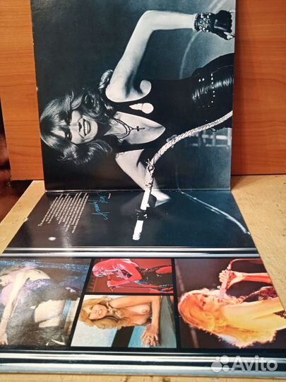 Виниловая пластинка