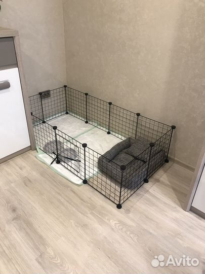 Барьер для животных