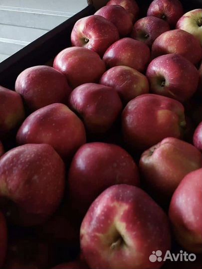 Фрукты с доставкой