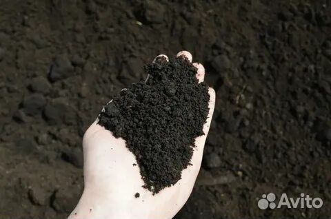 Земля с навозом