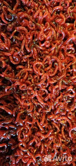 Мотыль насадочный,кормовой,трубочник изя,опарыш