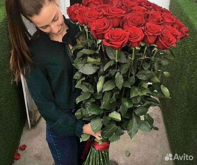 101 роза цветы букеты доставка 25 51 101 роза
