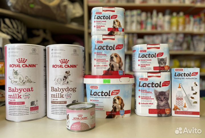 Молоко для щенков и котят Роял Канин