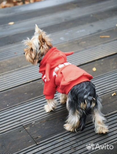 Парное худи для хозяйки И питомца