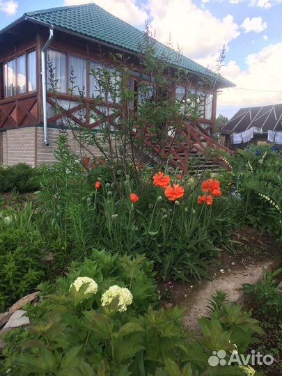 Мак восточный