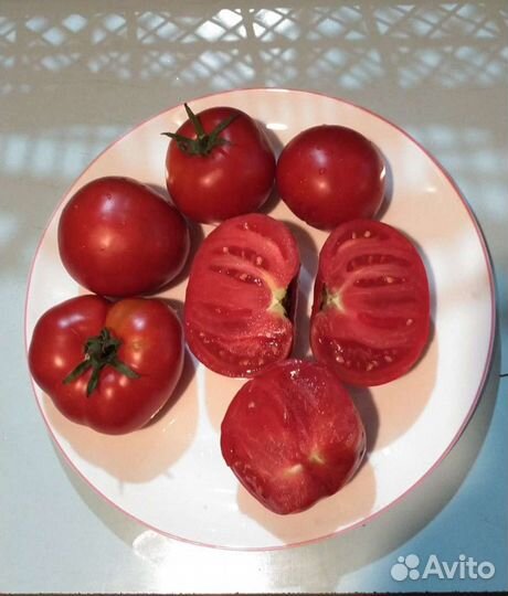 Грунтовые Огурцы, Помидоры, Яйцо