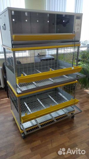 Клетка для кур несушек, брудер