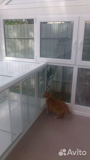 Уютная гостиница для вашего любимца 