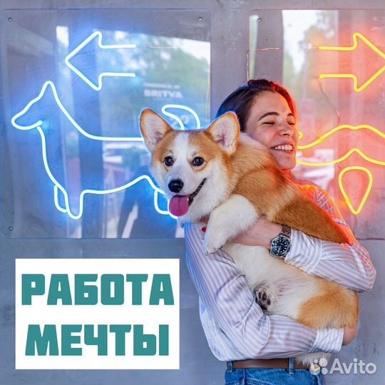 Администратор в груминг-салоне