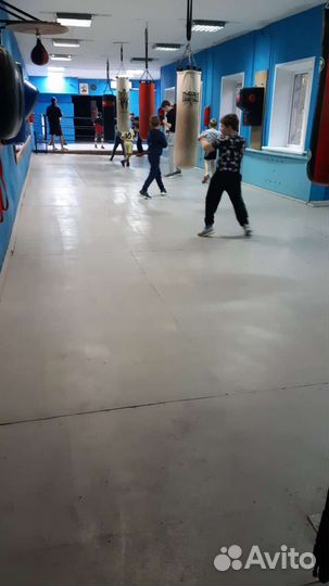 Тренировки по боксу