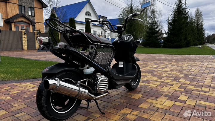 Honda zoomer af58