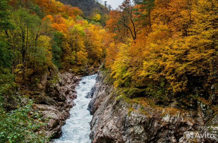 Турпоездка Осень в Адыгее от. 4* завтраки