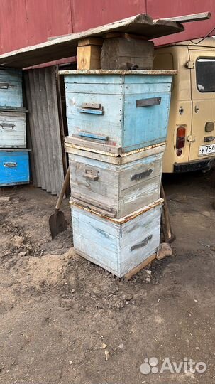 Улей б/у