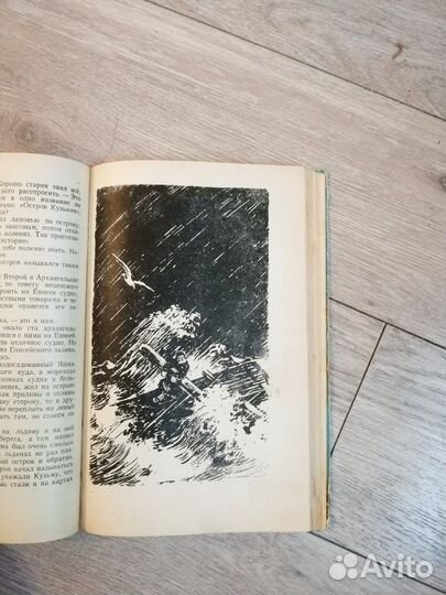 Александр Пунченок. Пассажир дальнего плавания