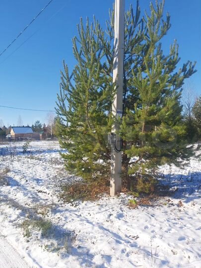 Участок 10 сот. (ИЖС)