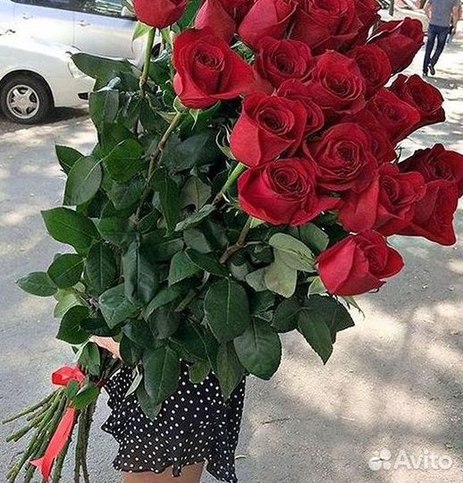 Розы Высокие Розы Гиганты Доставка Москва