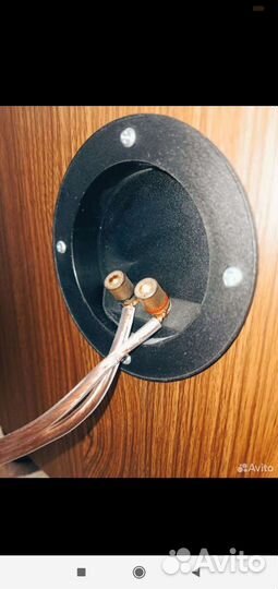 Колонки Revox corvette