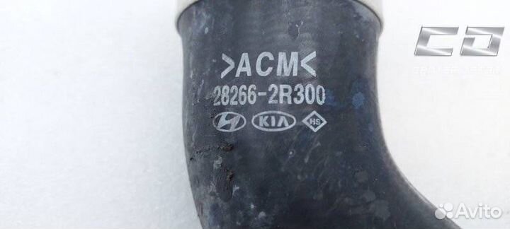 Патрубок интеркулера Kia Carnival YP KA4 2021