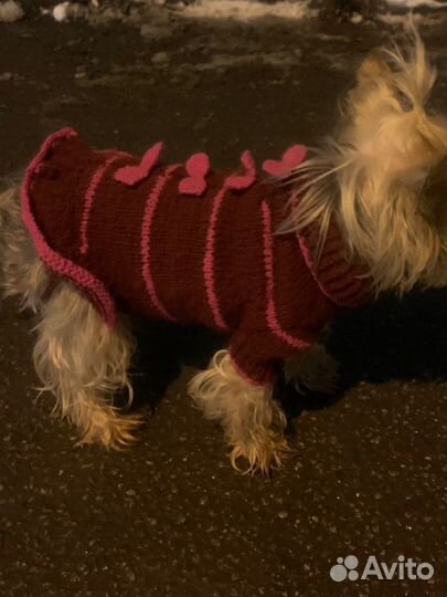 Одежда для маленьких собак