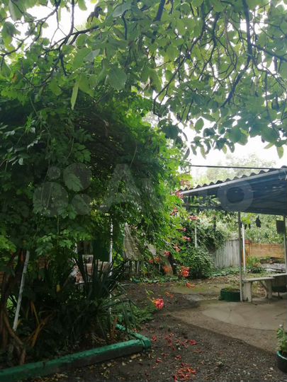 Дом 52,2 м² на участке 11 сот.