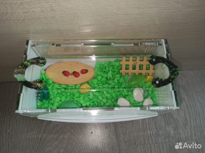 Муравьиная ферма