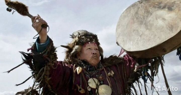 Чай пуэр Мощный чай мощ6320