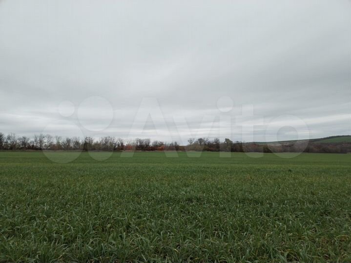 Участок 13 га (СНТ, ДНП)