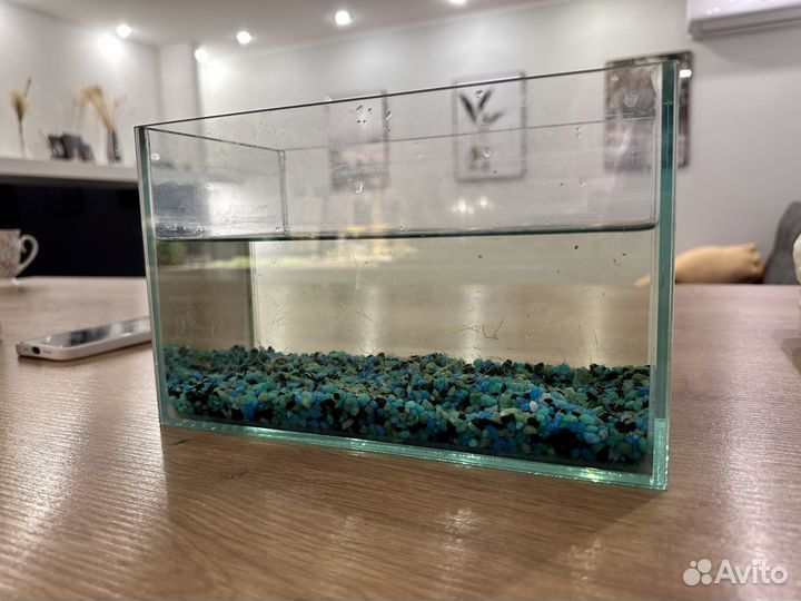 Аквариум 5 литров