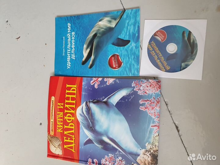 Шоу дильфинов