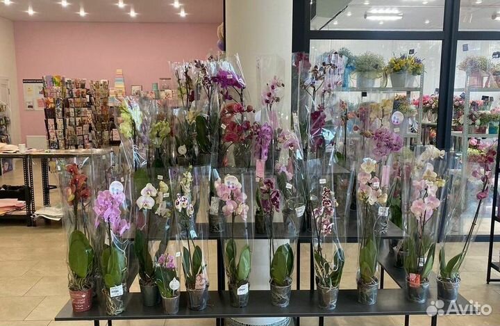 Цветочный бизнес с высокой чистой прибылью с помещ