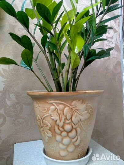 Цветочный горшок