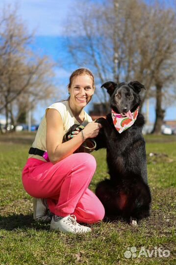 Собака Берта ждёт хозяина