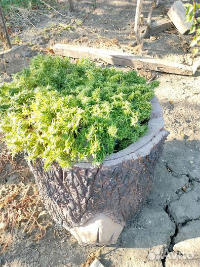 Кашпо, цветник из арт-бетона