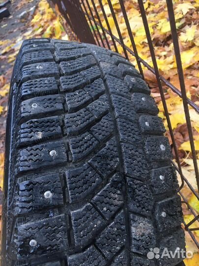 Viatti Brina Nordico V-522 195/65 R15