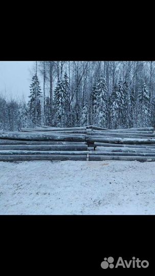 Пиловочник кругляк ель сосна береза осина