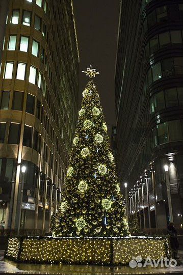 Елки уличные от 3 м до 18 м