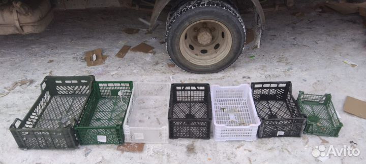 Пластиковые ящики для хранения бу